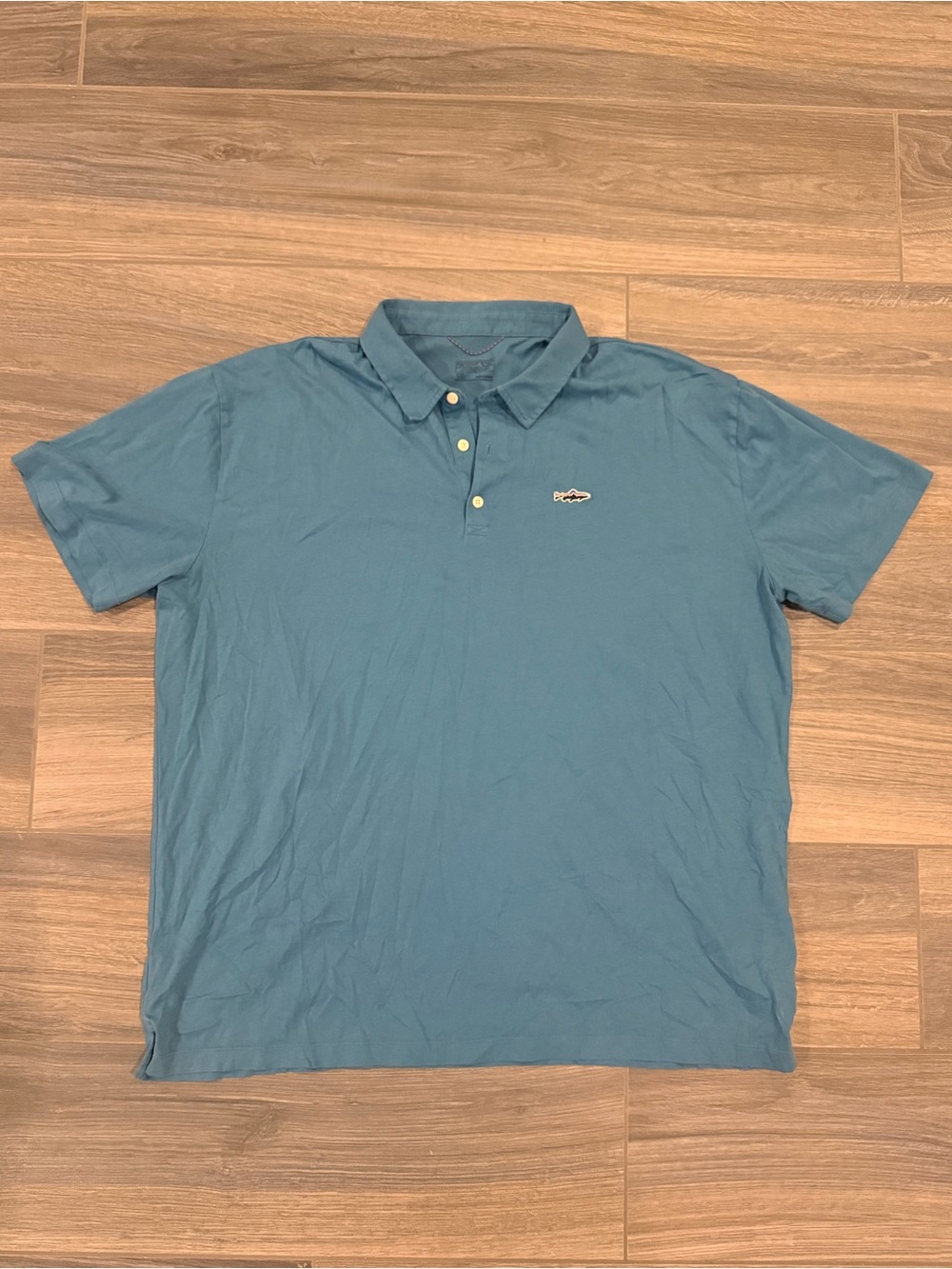 Patagonia Short-Sleeve Polo Shirt in Teal